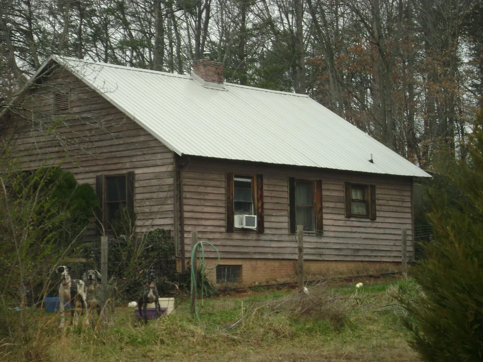 White metal roof on an old wood sided farmhouse, from a Asphalt Shingle Roof Repair job in Parlin